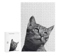 Adults 300 PCS Jigsaw Puzzle Cat Kitten Animals Jigsaw for Adults Brain Teaser Game Precision Cutting Unique Gifts for Birthday And Christmas 300 PCS