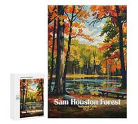 Adults 300 PCS Jigsaw Puzzle Sam Houston Forest National Park Jigsaw for Adults Brain Teaser Game Wall Decoration for Is Ideal As A Gift 300 PCS