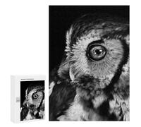 Adults 300 PCS Puzzle Owl with Galaxy Adult Jigsaw Puzzles Analysis And Logic Wishlist with Santa Claus Unique Gifts for Birthday And Christmas 300 PCS