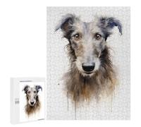 Adults 500 PCS Jigsaw Puzzle Scottish Deerhound Dog Jigsaw Puzzle Brain Teaser Game But Fun And Humorous for Is Ideal As A Gift 500 PCS