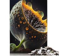 Adults 500 Piece Art Exotic Fruit Jigsaw Puzzle for Adults Woodenboard Puzzles Fun Puzzles Games Birthday Present 500pcs (52x38cm)