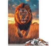 Adults 500 Piece Jigsaw Puzzle Majestic Lion Running In Africa at Sunset - Wildlife Photo Puzzle Jigsaws for Adults Teenagers Teenager Man Woman Gift 500pcs (52x38cm)