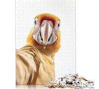 Adults 500 Piece Jigsaw Puzzle Parrot Golden Macaw Selfie Wooden Puzzle Adult Jigsaw Puzzle Brain Teaser Game 500pcs (52x38cm)