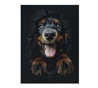 Adults 52x38cm/1000pcs Jigsaw Puzzle Gordon Setter Adult Jigsaw Relaxing Games Enhance Memory Unique Gifts for Birthday And Christmas 52x38cm/1000pcs
