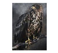 Adults 52x38cm/1000pcs Jigsaw Puzzle White Tailed Eagle Adult Jigsaw Relaxing Games Enhance Memory Unique Gifts for Birthday And Christmas 52x38cm/1000pcs