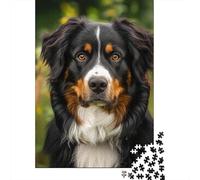 Adults And Adolescents Jigsaw Puzzle Springer Spaniel Puzzles for Adults & Teenager Family Game 1000pcs (38x26cm)