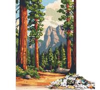 Adults And Adolescents Jigsaw Puzzle Yosemite National Park Puzzles Jigsaw Puzzles for Adults Educational Game Challenge Toy 38x26cm/1000pcs