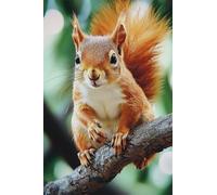 Adults and Beginners 5D Diamond Painting DIY Full Drill Kits Cute Happy Squirrel Pictures Embroidery Cross Stitch Diamond Art Perfect for Gift and Home Wall Decor Round Drill 60x90cm C0098