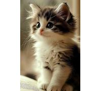 Adults and Beginners 5D Diamond Painting DIY Full Drill Kits Cute Kitten Book Pictures Embroidery Cross Stitch Diamond Art Perfect for Gift and Home Wall Decor Round Drill 60x90cm C0110