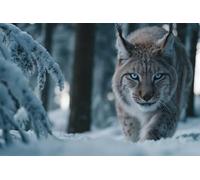 Adults and Beginners 5D Diamond Painting DIY Full Drill Kits Elegant Lynx Winter Pictures Embroidery Cross Stitch Diamond Art Perfect for Gift and Home Wall Decor Square Drill30x45cm C1933
