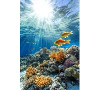 Adults and Beginners 5D Diamond Painting DIY Full Drill Kits Graceful Swimming Goldfish Pictures Embroidery Cross Stitch Diamond Art Perfect for Gift and Home Wall Decor Round Drill 40x60cm C1094