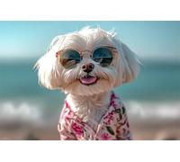 Adults and Beginners 5D Diamond Painting DIY Full Drill Kits Hawaii Beach Dog Pictures Embroidery Cross Stitch Diamond Art Perfect for Gift and Home Wall Decor Square Drill60x90cm C2211