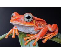 Adults and Beginners 5D Diamond Painting DIY Full Drill Kits Jungle Tree Frog Pictures Embroidery Cross Stitch Diamond Art Perfect for Gift and Home Wall Decor Square Drill80x120cm C2073