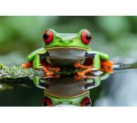 Adults and Beginners 5D Diamond Painting DIY Full Drill Kits Jungle Tree Frog Pictures Embroidery Cross Stitch Diamond Art Perfect for Gift and Home Wall Decor Square Drill60x90cm C2072