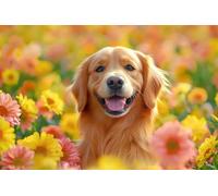 Adults and Beginners 5D Diamond Painting DIY Full Drill Kits Smiling Golden Retriever Pictures Embroidery Cross Stitch Diamond Art Perfect for Gift and Home Wall Decor Square Drill20x30cm C1655