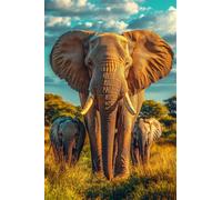 Adults and Beginners 5D Diamond Painting DIY Full Drill Kits Sunset Landscape Elephant Pictures Embroidery Cross Stitch Diamond Art Perfect for Gift and Home Wall Decor Square Drill30x45cm C1183