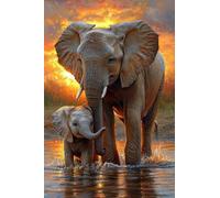 Adults and Beginners 5D Diamond Painting DIY Full Drill Kits Sunset Landscape Elephant Pictures Embroidery Cross Stitch Diamond Art Perfect for Gift and Home Wall Decor Square Drill90x135cm C1182