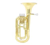 Adults Bb Euphonium 3 Key Euphonium Bb Vertical Baritone Horn Brass Body Tenor Musical Instruments With Case Gloves Cloth