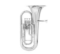 Adults Bb Euphonium Bb Flat Euphonium Brass Tube Body 3 Key Baritone Horn Bass Musical Instrument Set Accessories(Type2 730N)