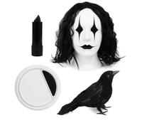 Adults Crow Accessory Set - Long Black Wig, Crow Prop, Black Lipstick and Facepaint - Adults TV Movie Character Fancy Dress Costume