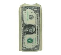 Adults Dollar Costume Realistic Hilarious Cash Theme Outfit