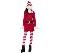 Adults Elf Costume Santas Helper Elves Behaving Badly Adults Fancy Dress