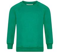 Adults Kids Crew Neck Plain Sweatshirt Girls Boys School Office Wear Jumper Top Jade Green 7-8 Years