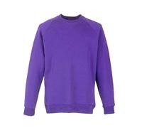 Adults Kids Crew Neck Plain Sweatshirt Girls Boys School Office Wear Jumper Top Purple 5-6 Years