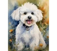 Adults' Paint by Number Kits,Bichon Frise on The Grass,Paint by Number Kits on Canvas DIY Oil Paintings Supplies for Adults Beginners Arts and Crafts,40x50cm Without Frame