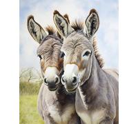 Adults' Paint by Number Kits,Curious Donkey,DIY Easy Acrylic Paint by Numbers Arts and Crafts,40x50cm,Without Frame