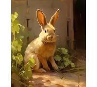 Adults' Paint-by-Number Kits,Rabbit Hare Bunny,DIY Acrylic Painting Kit for Hand Art,40x50cm,Without Frame