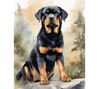 Adults' Paint-by-Number Kits,Rottweiler on The Rocks,DIY Acrylic Painting Kit for Hand Art,40x50cm Without Frame