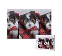 Adults Puzzle Game Challenging Puzzles,Jigsaw Puzzles 1000 Pieces,Biewer Terrier Puppies
