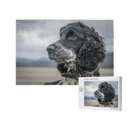 Adults Puzzle Game Challenging Puzzles,Jigsaw Puzzles 1000 Pieces,English Cocker Spaniel Large Curly Ears Black
