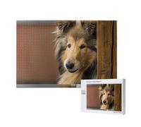 Adults Puzzle Game Challenging Puzzles,Jigsaw Puzzles 1000 Pieces,Rough Collie Lassie Dogs Big Fluffy Dogs Pets