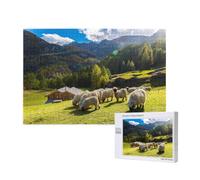 Adults Puzzle Game Challenging Puzzles,Jigsaw Puzzles 1000 Pieces,Swiss Alps Valais Blacknose Sheep Nest Animals Nature
