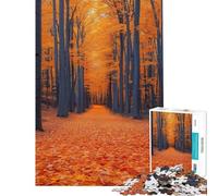 Adults Puzzles 1000 Piece Jigsaws Autumn Forest Path Jigsaws for Adults Puzzle Hand Speed Race Every Piece Is Unique Learning Educational Toys (Size 50x75cm)