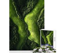 Adults Puzzles 1000 Piece Jigsaws Carpathian Mountains Romania Valley Practical Game Pattern Assembly Anti-Stress Toys Fun at Home Activities, (50x75cm)