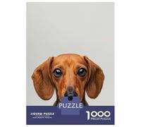 Adults Puzzles 1000 Piece Jigsaws Cute Baby Dachshund Puzzle for Adults Toy Wall Decor Presents for Women Unique Gifts for Birthday And Christmas 38x26cm/1000pcs
