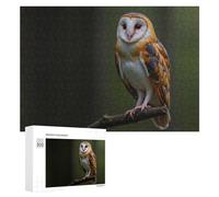 Adults Puzzles 300 PCS Jigsaws Barn Owl with Orange And Black Feathers Teenagers Puzzles Hands-on Game Hand Speed Race Parent-child Interaction 300 PCS