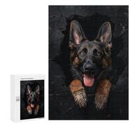 Adults Puzzles 300 PCS Jigsaws Dutch Shepherd Teenagers Puzzles Hands-on Game Hand Speed Race Parent-child Interaction 300 PCS