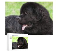 Adults Puzzles 300 PCS Jigsaws Newfoundland Dog Portrait Teenagers Puzzles Hands-on Game Hand Speed Race Parent-child Interaction 300 PCS
