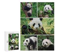 Adults Puzzles 300 PCS Jigsaws Panda Collage Eating, Climbing, Standing Puzzle for Adults Toy Wall Decor Stress Reliever Difficult And Challenge 300 PCS
