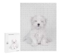 Adults Puzzles 500 PCS Jigsaws Maltese Dog Puppy Jigsaw Puzzle Fun Games But Fun And Humorous Unique Gifts for Birthday And Christmas 500 PCS