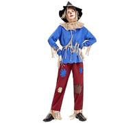 Adults Scarecrow Costume, Mr. Scarecrow Costume with Pointed Hat Book Week Scarecrow Fancy Dress Costume for Men