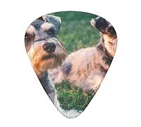 Adults Schnauzer Dogs Printed Guitar Picks Personalized Guitar Plectrums 12 Pcs For Acoustic Guitar Electric Guitar And Bass Bulk Guitar Pick One Size