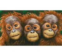 Adults Stamped Cross Stitch Embroidery Kit Three Little Monkeys Counted Cross-Stitch Patterns Full Range of Needlework Starter Kits Home Decor-12x16 inches