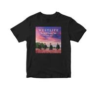 Adults Womens Mens Westlife Wild Dreams Tour 2023 T-Shirt Concert Gig Tee UK Top Black