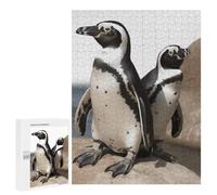 Adults Wooden Puzzles for Home Decor, Unique Shaped African Penguin Puzzle with Exquisite Box, Personalized Wooden Jigsaw 500 PCS for Family Game Gift, Travel, Art Decor