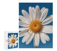 Adults Wooden Puzzles for Home Decor, Unique Shaped Flying Bees Daisy Honeys Puzzle with Exquisite Box, Personalized Wooden Jigsaw 500 PCS for Family Game Gift, Travel, Art Decor
